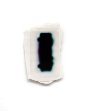 Pl.25_ Data — 2024