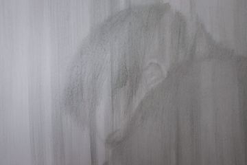 Timeless #1 — (détail), 2010