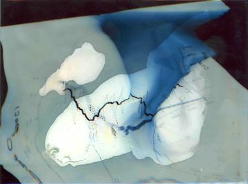 Stat. #2 — 2021