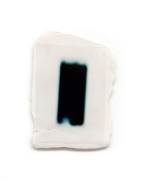 Pl.24_ Data — 2024