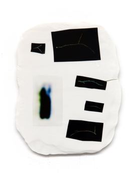 Pl.7_Collecte — 2024